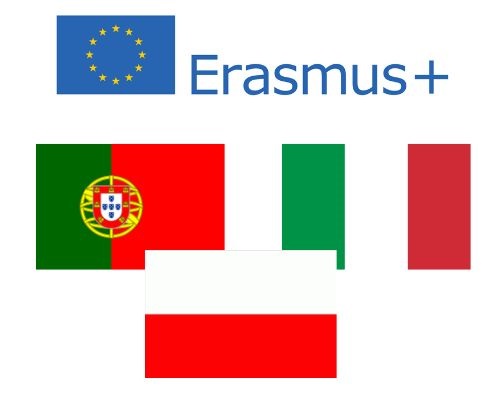 erasmus.jpg