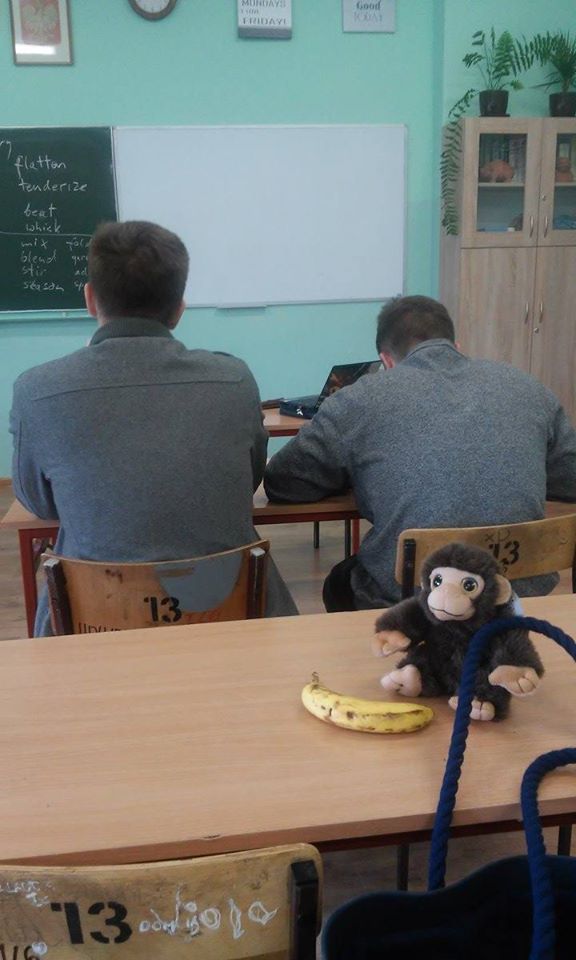 to give a monkey’s