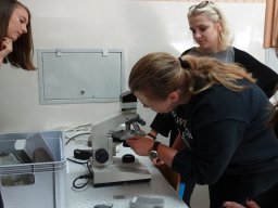 dsc02649